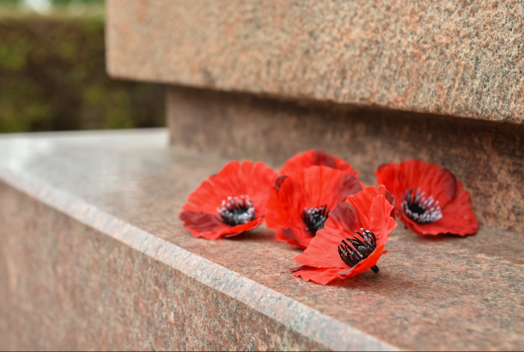 Armed Forces Day from Royal British Legion